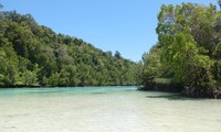 Beginilah penampakann Kehe Daing. Laguna yang luas, memiliki pasir putih dan air hijau toska. Sekelilingnya adalah hutan bakau dan masih sangat alami (Afif/detikTravel)