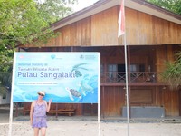 Pulau Sangalaki berada di bawah naungan Konservasi Sumber Daya Alam Kalimantan Timur. Artinya, semua flora dan fauna di sini dilindungi termasuk penyu dan tukik dalam UUD No 5 Tahun 1990 Pasal 40 Ayat 2. Jika melanggar, ancamannya 5 tahun penjara (Afif/detikTravel)