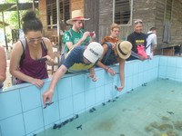 Inilah kolam yang berisikan puluhan tukik di bagian tengah Pulau Sangalaki. Di sini, wisatawan bisa melihat tukik dari dekat dan mengetahu segala hal informasi tentangnya (Afif/detikTravel)