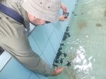 Sangalaki, Pulau Menggemaskan di Derawan