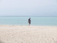Pulau Sangalaki punya luas 280 hektar. Jarak dari Pulau Derawan ke sana sekitar 45 menit saja (Afif/detikTravel)