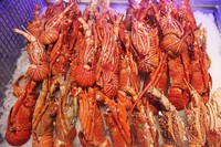 Warna cantik berkilaunya membuat menu Lobster On Ice ini banyak digemari. Rasanya yang fresh lebih enak d​engan ​saus-saus olahan chef profesional. Nyam!