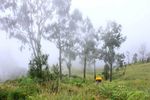 Sudut-sudut Indah Gunung Rinjani yang Tak Ada Habisnya