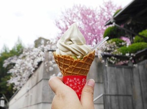 Es Krim Rasa Sakura, Jajanan Unik di Kyoto