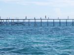 Sudut-sudut Cantik Pulau Derawan