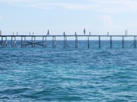 Dermaga Pulau Derawan pun dapat menjadi objek foto yang menarik. Tunggulah momen-momen menarik di sana, seperti saat anak-anak kecil sedang bermain di atas dermaganya (Afif/detikTravel)