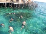Sudut-sudut Cantik Pulau Derawan