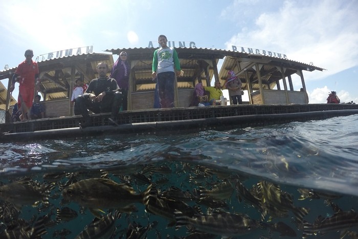 Alam Bawah Laut Bangsring Pukau Traveler di Banyuwangi Underwater Festival
