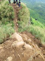 Pemandangan Hijau dari Puncak Gunung Batu, Jonggol