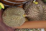 Serunya Menikmati Takjil dan Ragam Buah Tropis di Pasar Apung Cikini