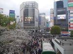 Melihat Persimpangan Terpopuler di Jepang