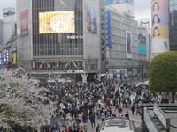 Turis yang datang bisa melihat Shibuya Crossing dari atas. Beberapa spot yang bisa didatangi adalah Starbucks Tsutaya atau lantai atas Stasiun Shibuya (Kurnia/detikTravel)