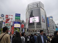 Persimpangan tersebut begitu ramai, apalagi saat jam berangkat dan pulang kantor. Orang-orang yang baru keluar dari Stasiun Shibuya dan penjuru lainnya menyeberang bersamaan (Kurnia/detikTravel)