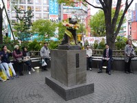 Di dekat sisi Shibuya Crossing ada Patung Hachiko yang ikonik. Banyak juga yang antre untuk foto bareng patung anjing yang setia itu (Kurnia/detikTravel)