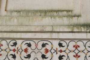 Duh, Dinding Taj Mahal Jadi Hijau Gara-gara Kotoran Serangga