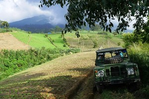 Weekend Super Seru! Offroad Keliling Perkebunan Teh di Bogor