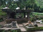 Satwa-satwa Menggemaskan di Taman Safari Indonesia, Bogor
