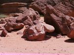 Foto-foto 'Planet Mars' di Bumi