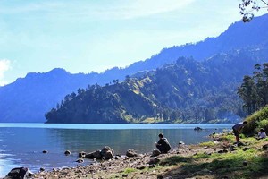 Cerita Emas Berbentuk Ikan di Danau Segara Anak, Gunung Rinjani