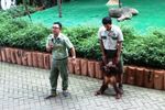 Interaksi Lucu Traveler Cilik dengan Satwa Taman Safari Prigen