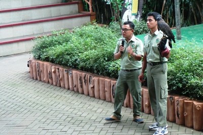 Interaksi Lucu Traveler Cilik dengan Satwa Taman Safari Prigen