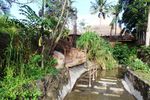 Begini Serunya Sarapan Dijemput Naik Gajah