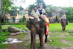 Ketika Bule Asyik Naik Gajah Keliling Bali Safari
