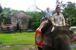 Ketika Bule Asyik Naik Gajah Keliling Bali Safari
