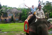 Terlebih lagi kedua anak mereka yang berada di gajah terpisah yang kelihatan sangat senang. Senyum terus merekah dari wajah mereka selama naik gajah (Wahyu/detikTravel)