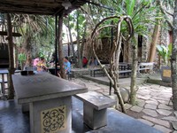 Waroeng Pohon berlokasi di kawasan Sewon, Bantul. Sesuai namanya, suasana resto ini didominasi pepohonan asri yang segar dan menyejukkan.