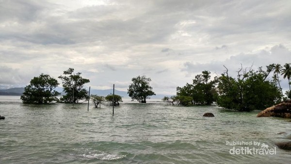 Mudik Ke Sumatera Barat Ada Pantai Cantik Ala Belitung