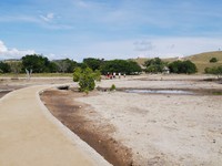 Salah satu pulau di kawasan Taman Nasional Komodo (TNK) di Flores, NTT yang sering dikunjungi turis buat melihat komodo adalah Pulau Rinca. Banyak komodo yang hidup di sana (Kurnia/detikTravel)