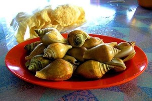 10 Kuliner yang Wajib Diburu di Bintan