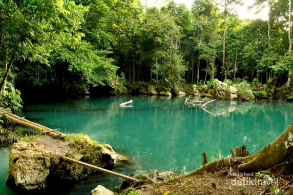 Selain Labuan Cermin, Kaltim Juga Punya Danau Nyadeng