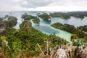 Sampai Kapan Wisata ke Papua Terus Mahal?