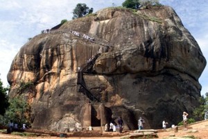 Diserang Kawanan Tawon, Turis di Sri Lanka Masuk Rumah Sakit