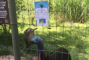 Demam Pokemon Go, Papan Informasi di Birmingham Zoo Dibuat Seperti Ini
