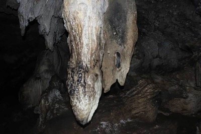 Stalaktit Berbentuk Alat Kelamin di Gua Pangandaran