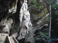 Untuk memasuki gua, traveler harus melewati jalan setapak dengan pohon bambu di kanan dan kiri. Kemudian menaiki sejumlah anak tangga menuju mulut gua (Kurnia/detikTravel)