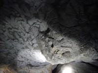 Di dalam gua banyak stalaktit dan stalagmit berkilau yang memiliki kandungan garam. Selain itu, ada pula fosil penyu yang menempel di bagian atas gua (Kurnia/detikTravel)