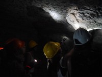 Fosil itu tampak seperti cangkang penyu terbalik yang menempel di atap. Dengan adanya fosil penyu serta ada pula batu karang, beberapa ahli pun berpendapat kalau gua dulunya berada di dasar laut (Kurnia/detikTravel)
