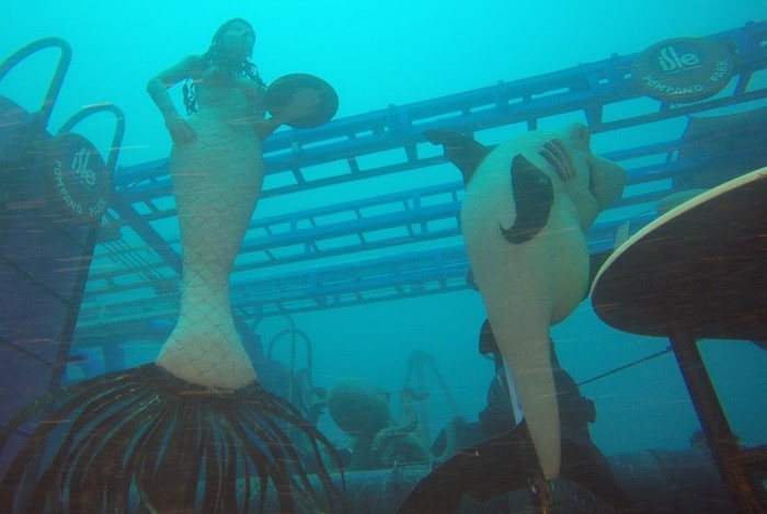 Keren! Amerika Punya Galeri Bawah Laut Pertama di Dunia