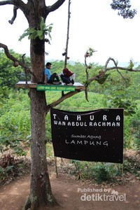 Bukan Kalibiru Ini Tahura Wan Abdul Rachman Di Lampung