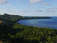Dari puncak bukit terlihat pemandangan pesisir Labuan Bajo. Pepohonan rimbun serta perbukitan di tepi laut kelihatan jelas (Kurnia/detikTravel)