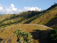 Di sekitar Bukit Sylvia, ada pula bukit lainnya yang bisa didaki dengan ketinggian berbeda-beda. Traveler tinggal pilih saja ingin naik ke puncak yang mana (Kurnia/detikTravel)‎