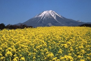 Ketika Gunung Jadi Obat Stress Orang Jepang