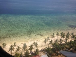 Bau-bau yang Tidak Bau