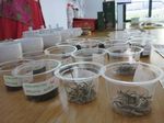 Mengenal Ragam dan Keunikan Teh Indonesia di Indonesia Tea Class