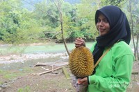 Model : Mega memegang Durian Leupung Model : Mega memegang Durian Leupung
