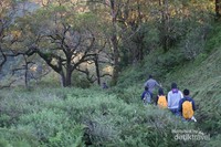 Menyusuri savana Gunung Mutis Menyusuri savana Gunung Mutis
